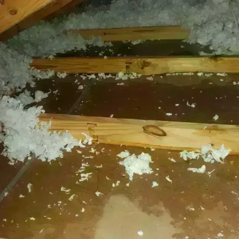 Attic Water Damage in Santa Cruz County, CA