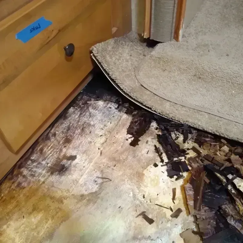 Best Wood Floor Water Damage Service in Santa Cruz County, CA